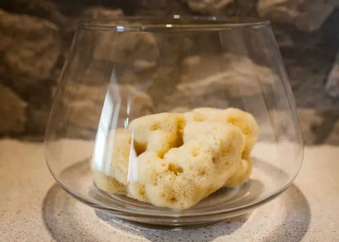 Appartement Stella Maris *